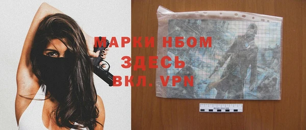 хмурый Вяземский