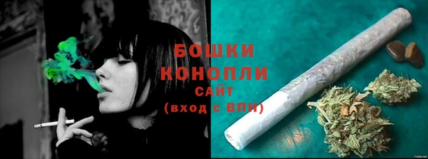 хмурый Вяземский