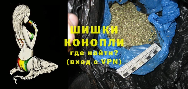 хмурый Вяземский