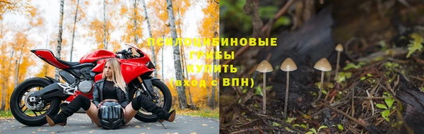 хмурый Вязники