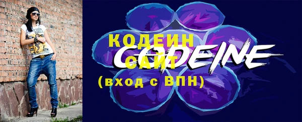 хмурый Вяземский