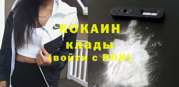 хмурый Вяземский