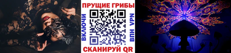 kraken tor  Давлеканово  Псилоцибиновые грибы MAGIC MUSHROOMS 
