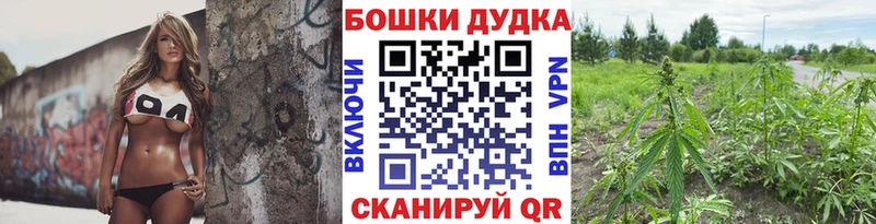 Каннабис семена  omg маркетплейс  Давлеканово  продажа наркотиков 